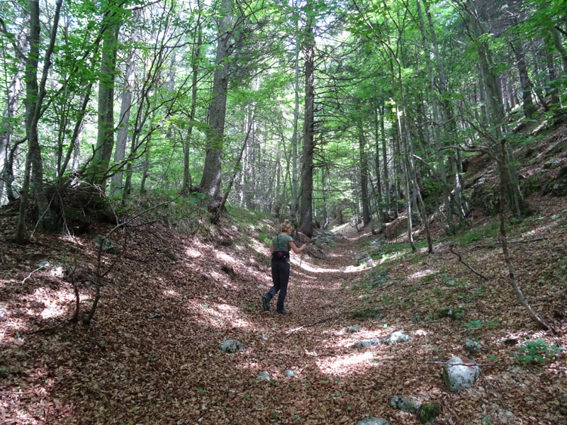 Becco della Ceriola e Cima del Campigolt......Vigolana